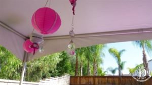 Elegant Paper Lanterns