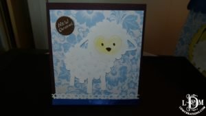 Little lamb