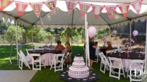 Baby Girl shower