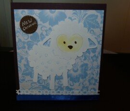 Little lamb