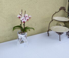 food table